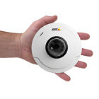 0399-001 Axis New M5014 Palm
