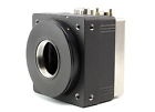 A101f Basler Progressive Scan Industrial