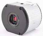 H.264-mjpeg Av3100-dn Arecont Vision 3mp