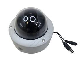 Gec-dreu-va3 Ge Security Rugged Dome Camera