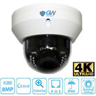 Gw8767mip Gw Ip Optical Motorized Zoom Dome Poe Security Camera