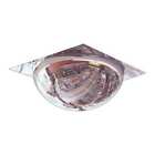 Onv-22-tb2 Zoro Select Full Dome Mirror Acrylic