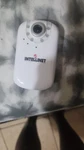 Nib Intellinet NSC16-WG Megapixel Network Camera 551083. Fixed Price $280.00.