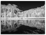 Converted 850NM Infrared Panasonic DMC-GF3 12MP Mirrorless Camera 56. Fixed Price $230.36.