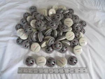 (100) Alpha Ink Tags Round Security Anti-theft Retail Cothing With Pins (xx). Fixed Price $87.90.