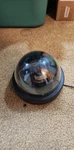 Clinton Electronics CE-VFCD954 Dome Cctv Camera Black Wired. Fixed Price $30.24.