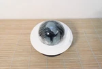 Cisco CIVS-IPC-2611 Video Standard Definition Dome Camera. Fixed Price $126.94.